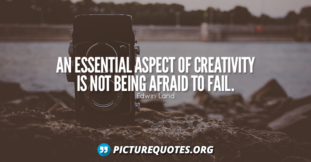 Edwin Land Quote